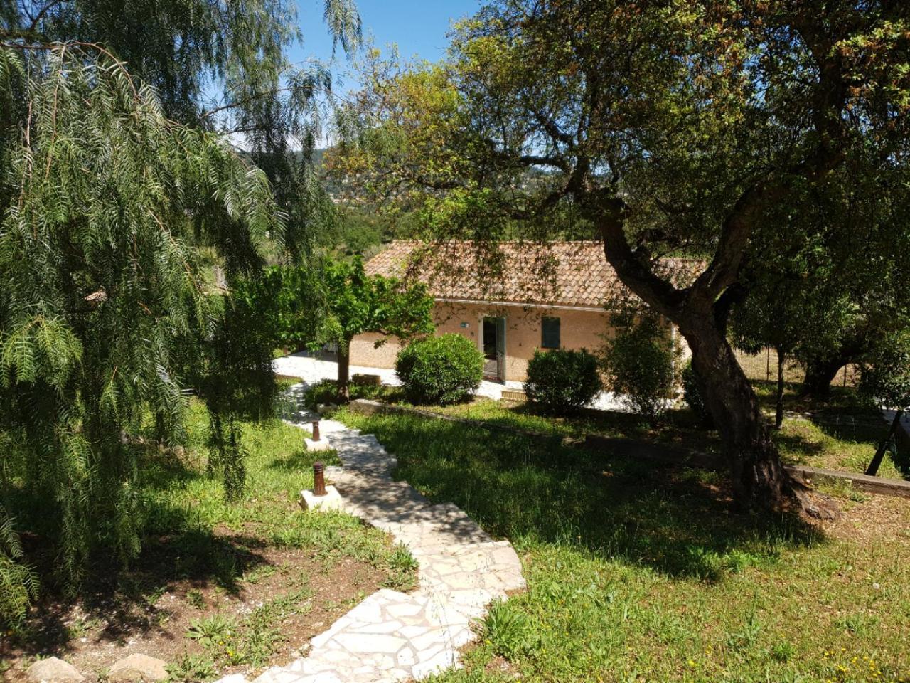 Villa Domaine De La Navicelle - Syrah Le Pradet Exterior foto
