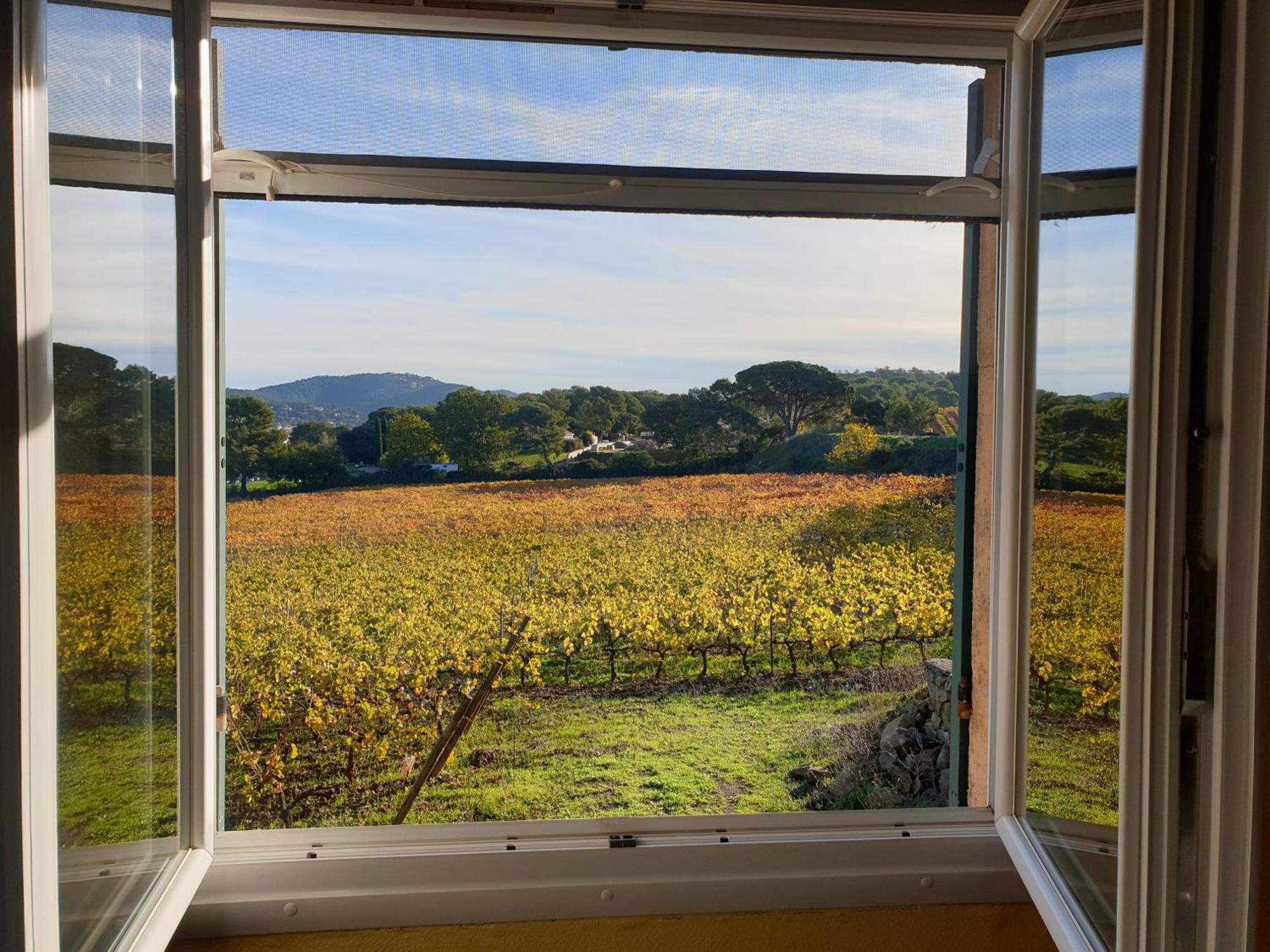 Villa Domaine De La Navicelle - Syrah Le Pradet Exterior foto