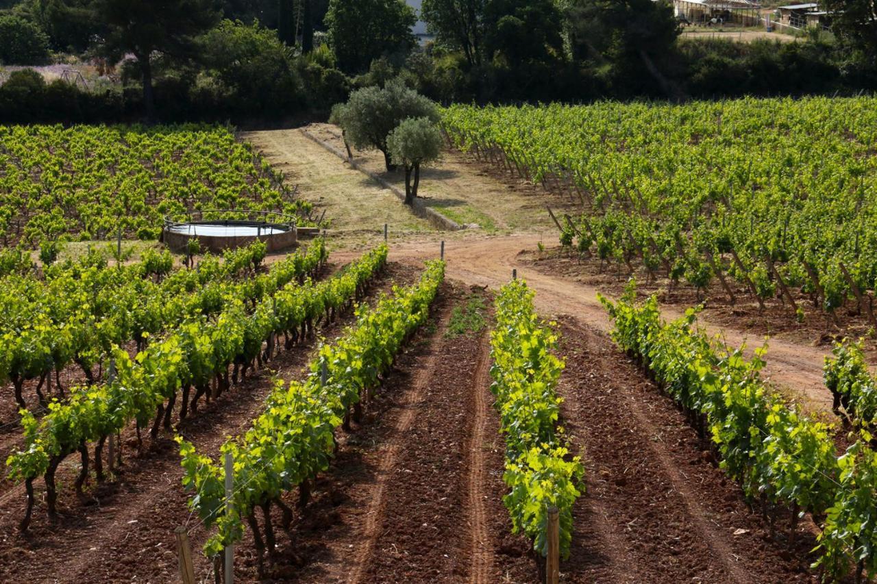 Villa Domaine De La Navicelle - Syrah Le Pradet Exterior foto